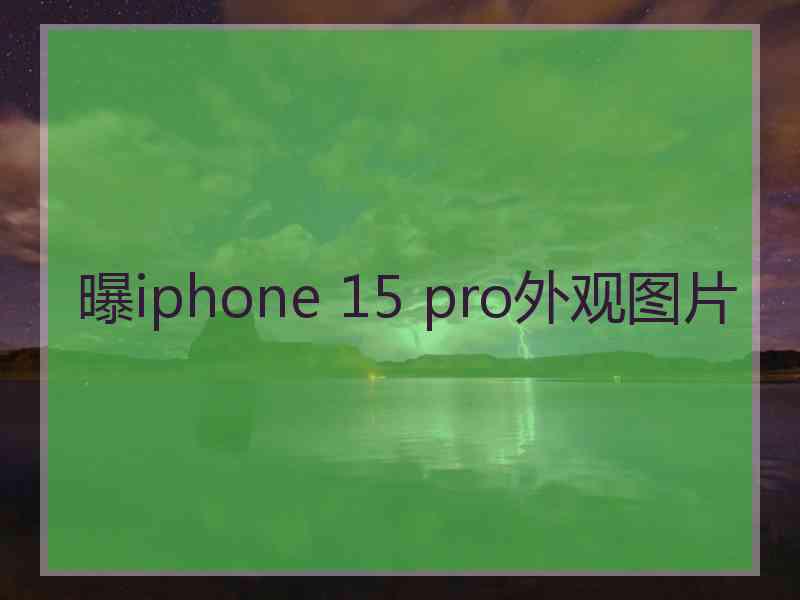 曝iphone 15 pro外观图片