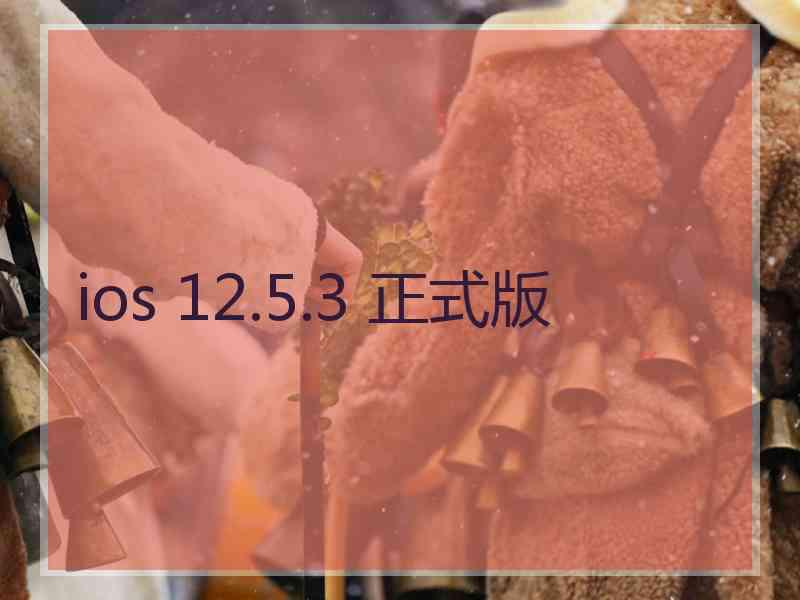 ios 12.5.3 正式版