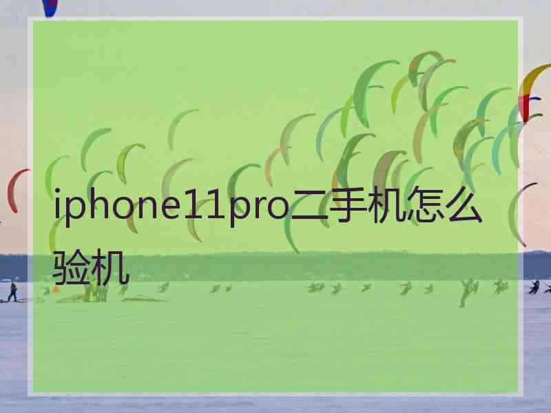 iphone11pro二手机怎么验机