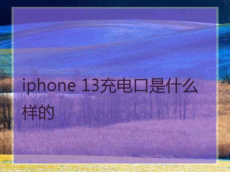 iphone 13充电口是什么样的