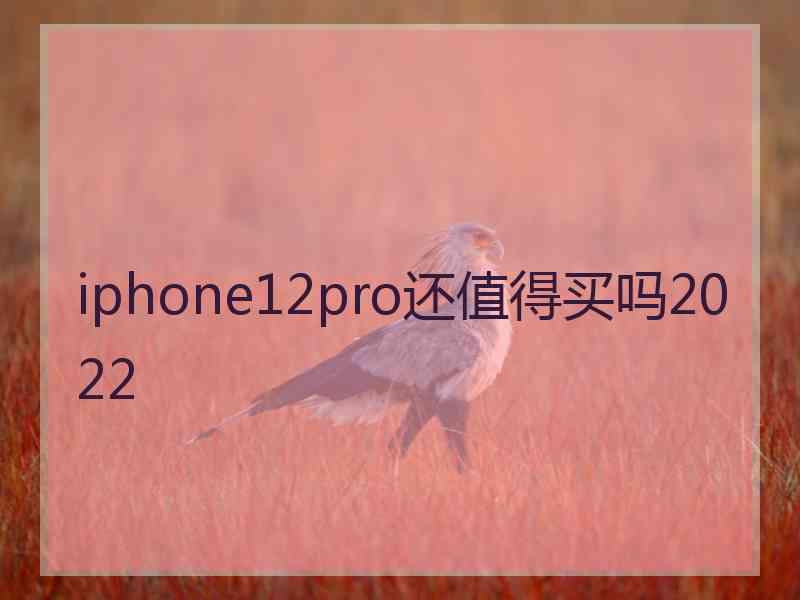 iphone12pro还值得买吗2022