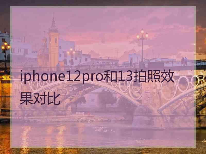 iphone12pro和13拍照效果对比