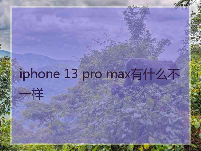 iphone 13 pro max有什么不一样