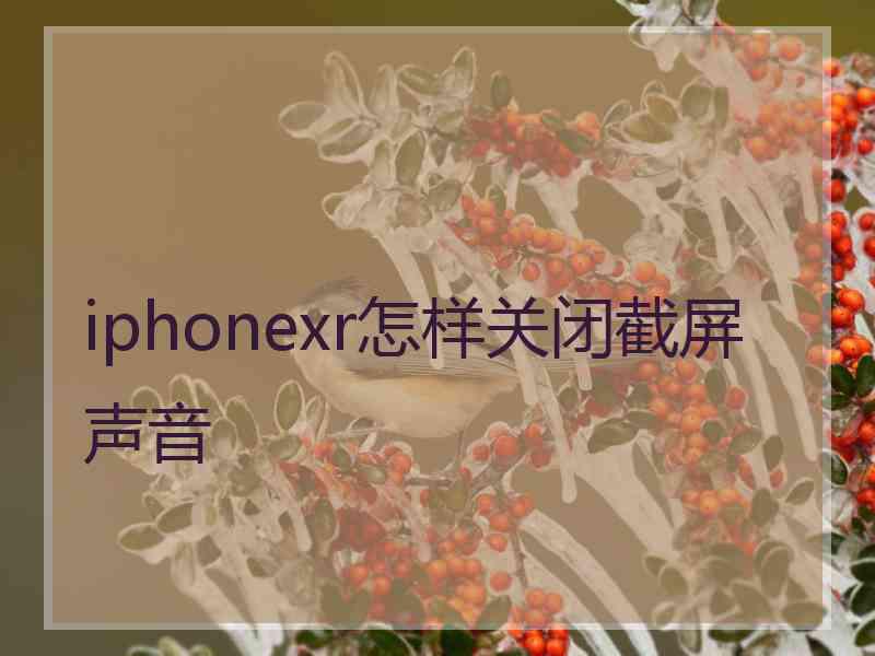 iphonexr怎样关闭截屏声音