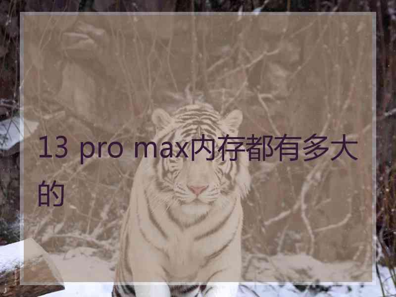 13 pro max内存都有多大的