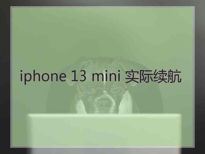 iphone 13 mini 实际续航