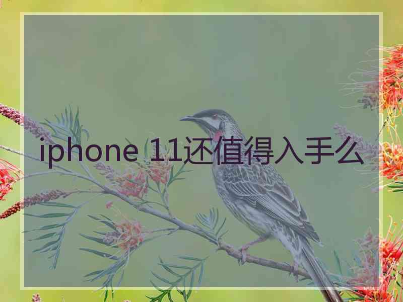 iphone 11还值得入手么