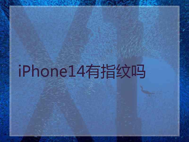 iPhone14有指纹吗