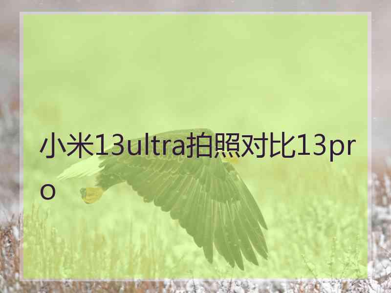 小米13ultra拍照对比13pro