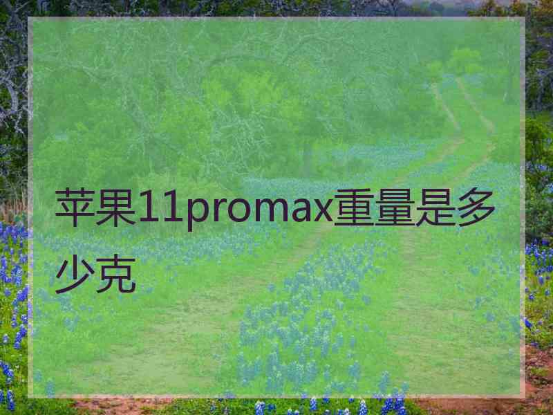 苹果11promax重量是多少克