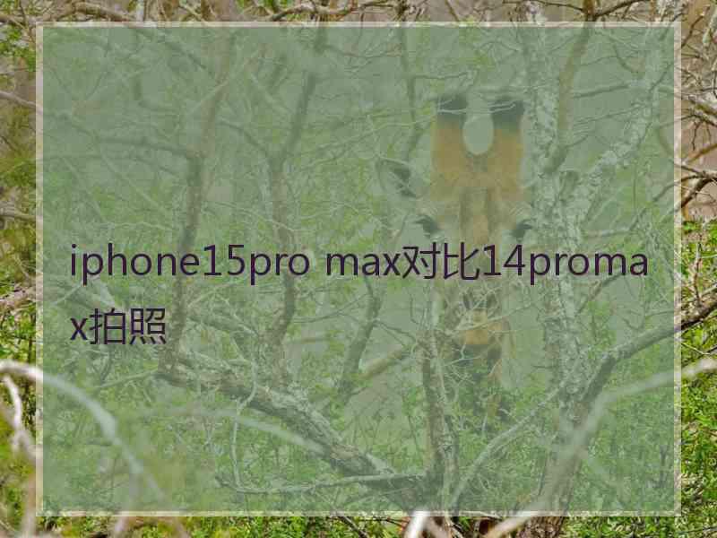 iphone15pro max对比14promax拍照