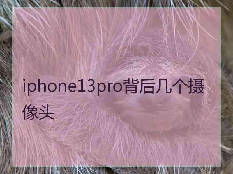 iphone13pro背后几个摄像头