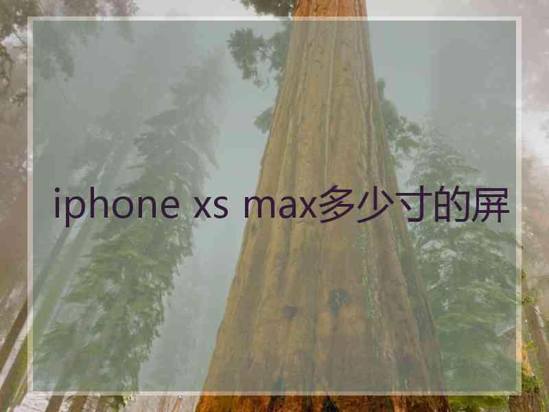 iphone xs max多少寸的屏