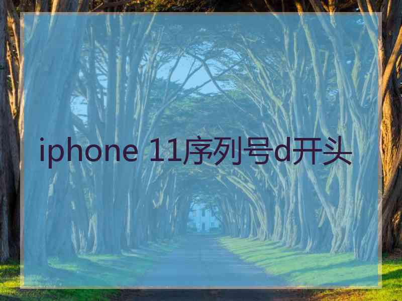 iphone 11序列号d开头