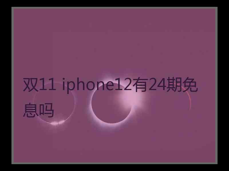 双11 iphone12有24期免息吗