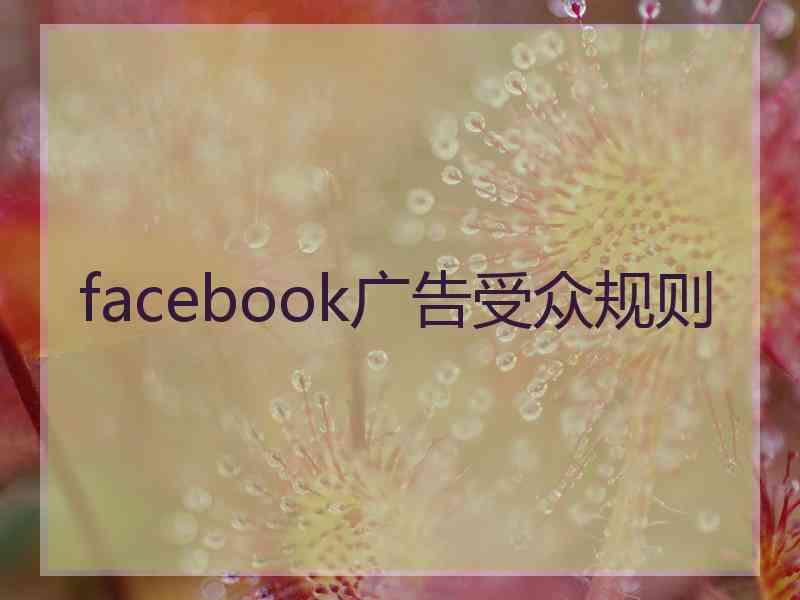 facebook广告受众规则