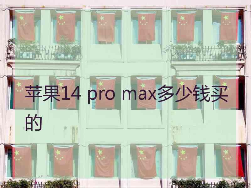 苹果14 pro max多少钱买的