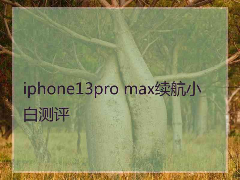 iphone13pro max续航小白测评