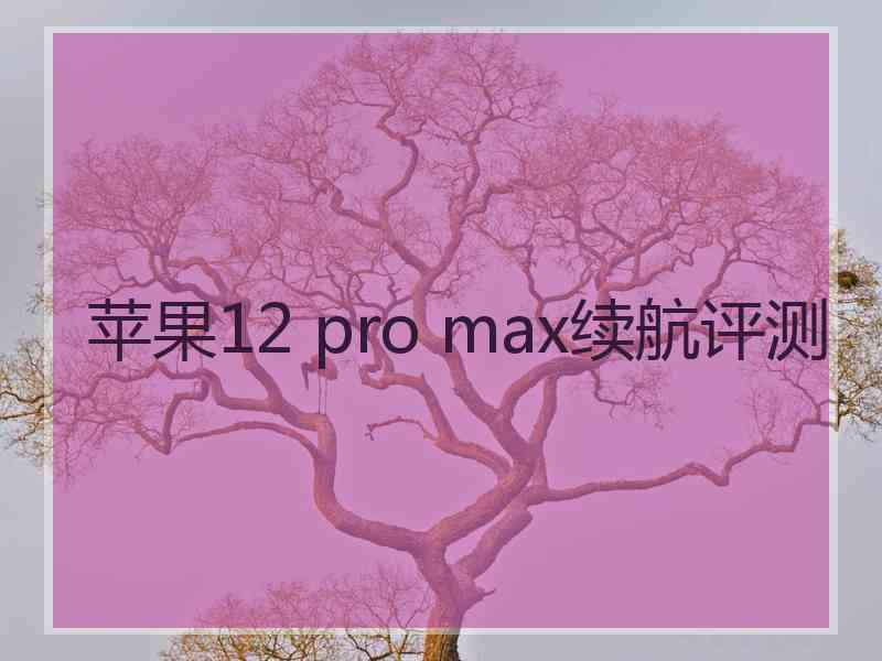 苹果12 pro max续航评测