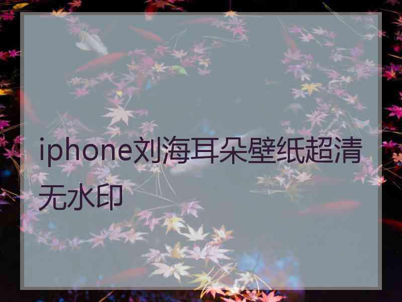 iphone刘海耳朵壁纸超清无水印