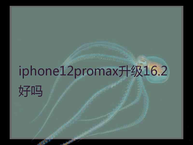 iphone12promax升级16.2好吗