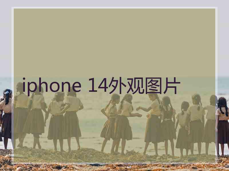 iphone 14外观图片