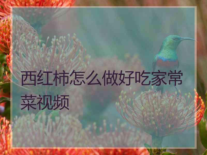 西红柿怎么做好吃家常菜视频