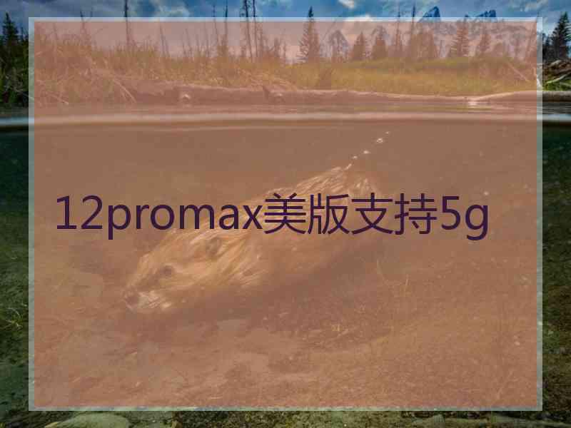 12promax美版支持5g