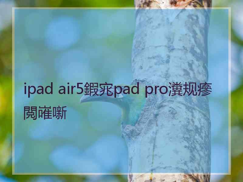 ipad air5鍜宨pad pro瀵规瘮閲嶉噺