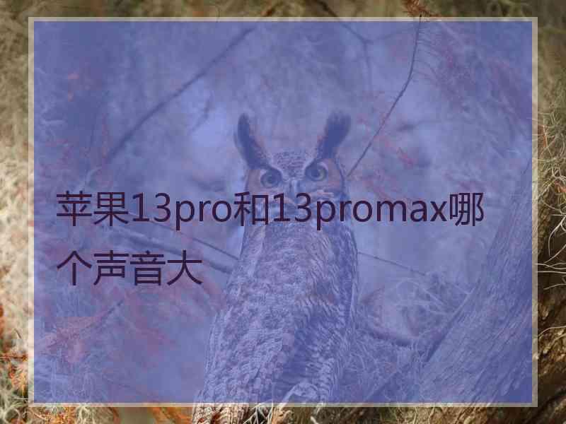 苹果13pro和13promax哪个声音大