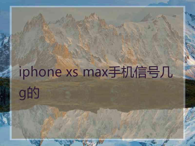 iphone xs max手机信号几g的