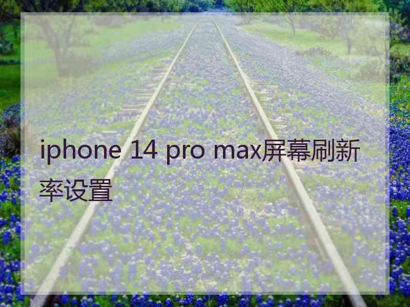 iphone 14 pro max屏幕刷新率设置