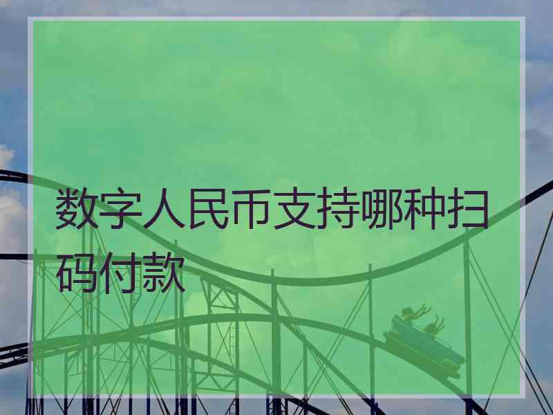 数字人民币支持哪种扫码付款