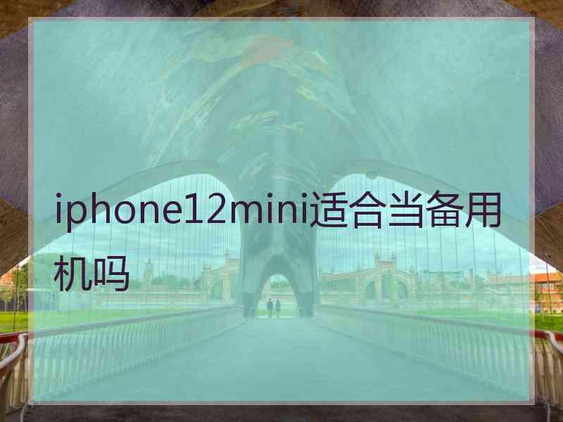 iphone12mini适合当备用机吗