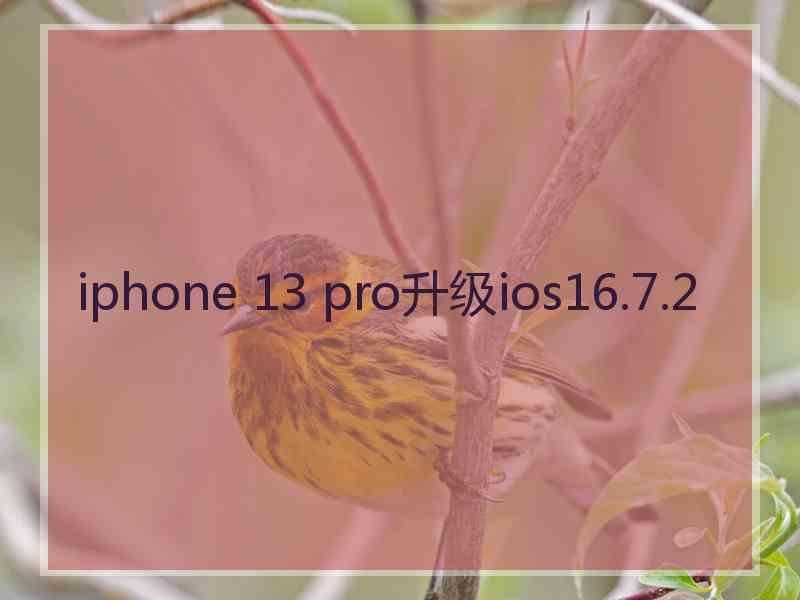 iphone 13 pro升级ios16.7.2