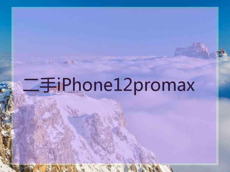 二手iPhone12promax