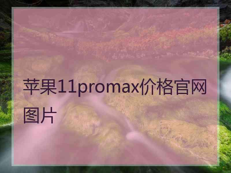 苹果11promax价格官网图片