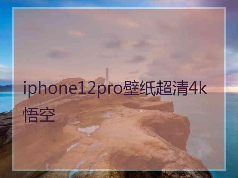 iphone12pro壁纸超清4k悟空