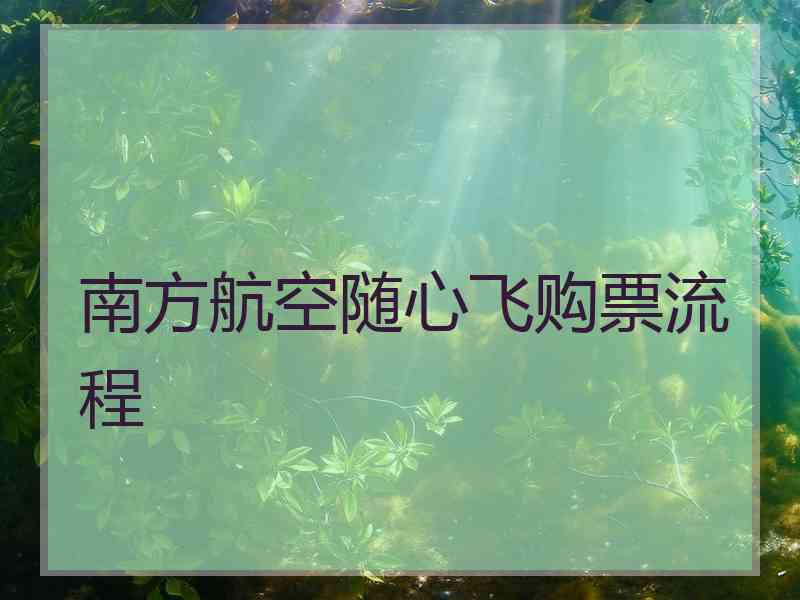 南方航空随心飞购票流程