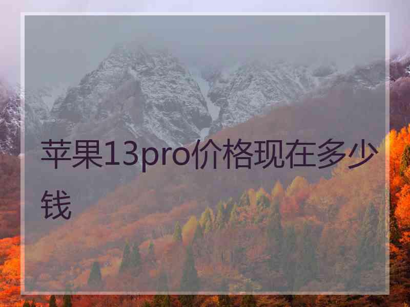 苹果13pro价格现在多少钱