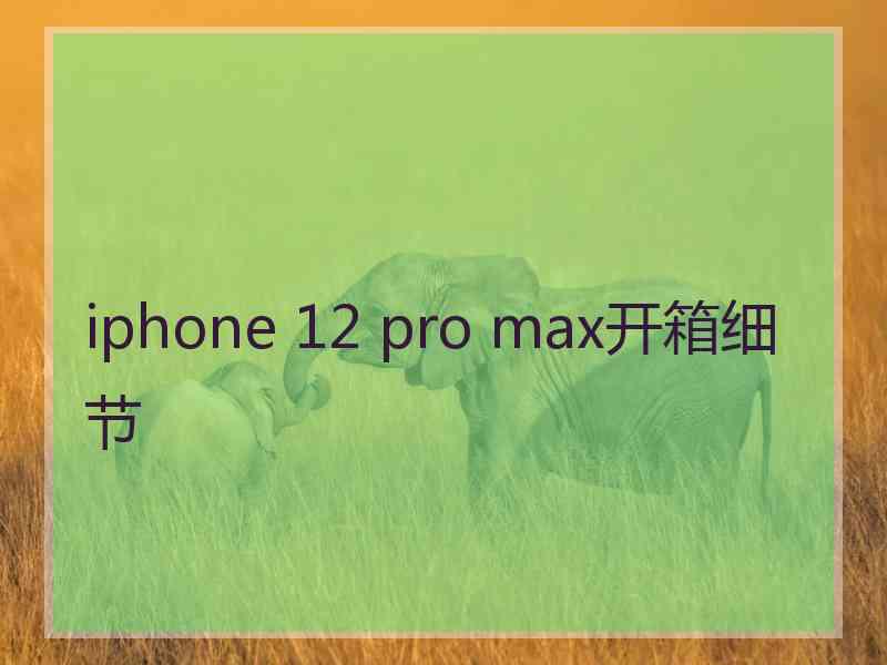 iphone 12 pro max开箱细节