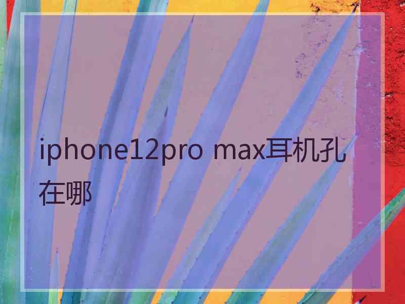 iphone12pro max耳机孔在哪