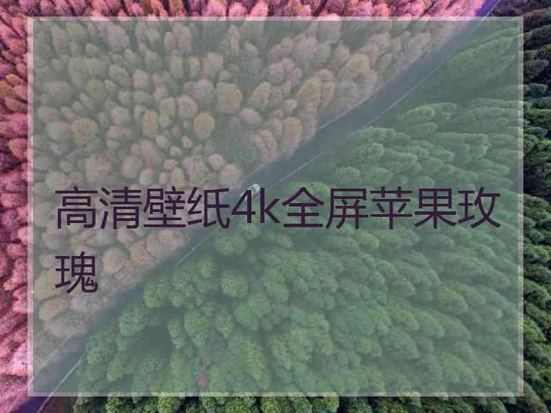 高清壁纸4k全屏苹果玫瑰