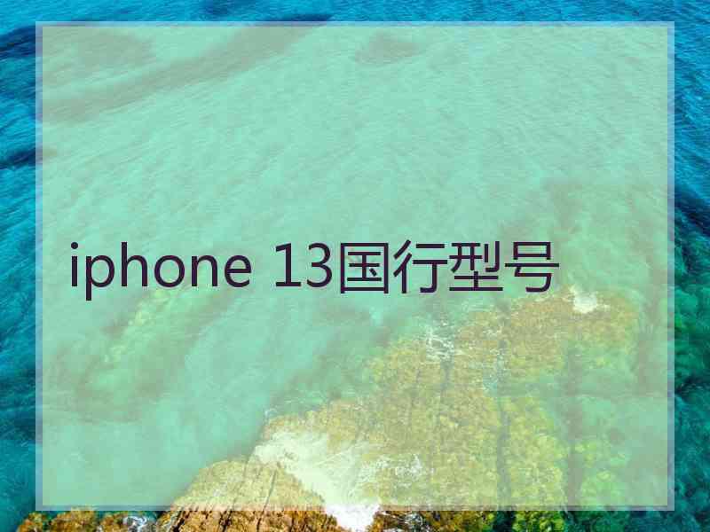 iphone 13国行型号