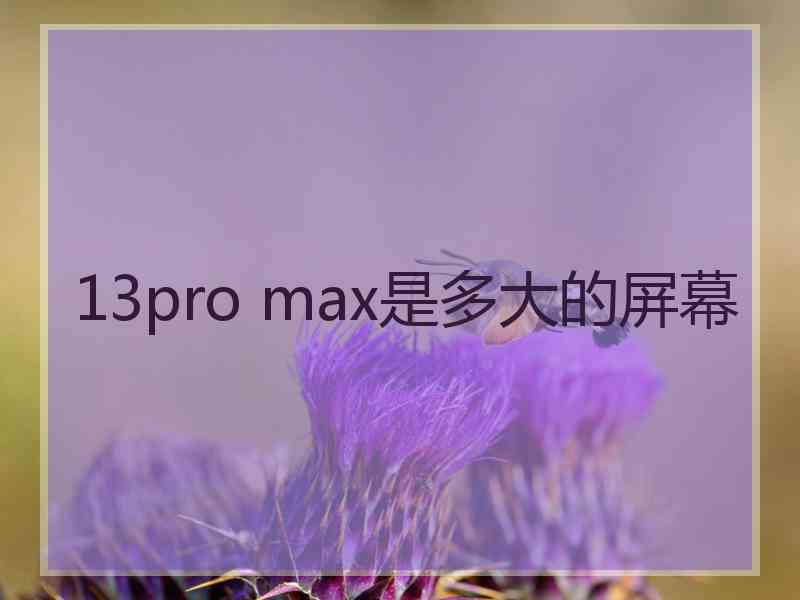 13pro max是多大的屏幕