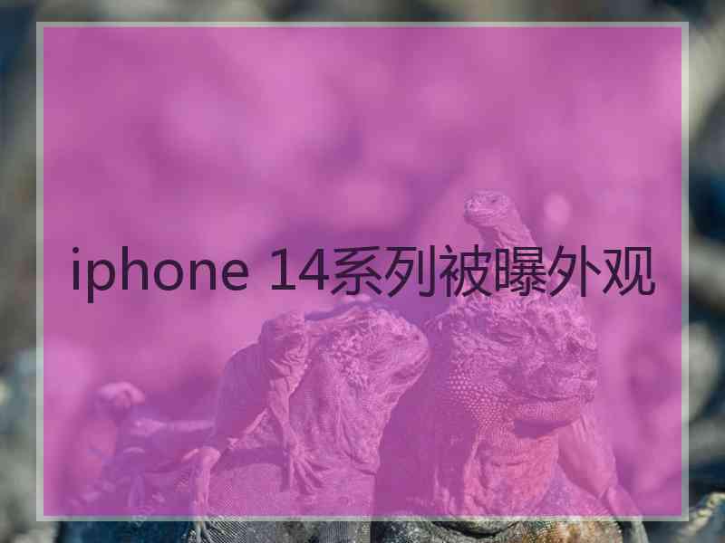 iphone 14系列被曝外观