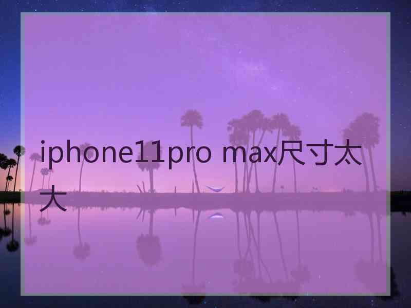 iphone11pro max尺寸太大