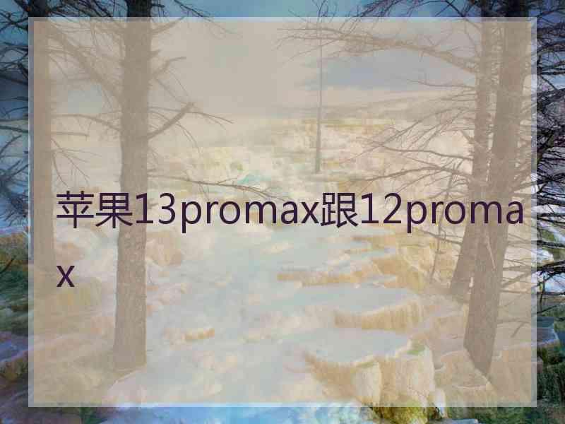 苹果13promax跟12promax