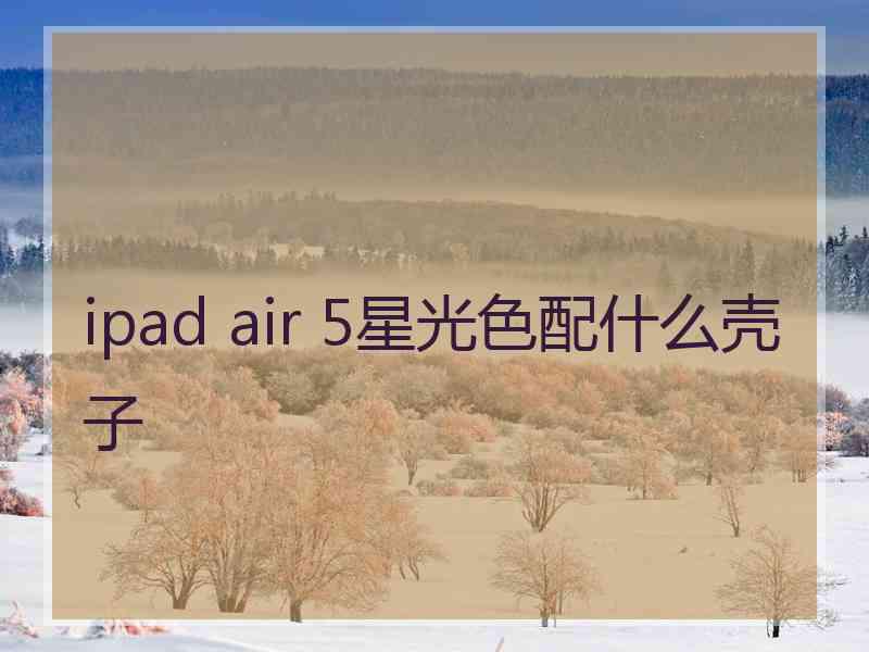 ipad air 5星光色配什么壳子