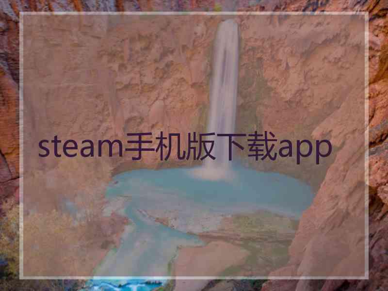 steam手机版下载app